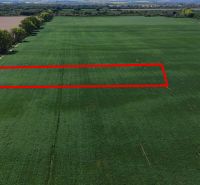 Trhovište – 5.894 m2 POZEMOK na mobilný dom so stavebným potenciálom  - Rekreačné pozemky v Trhovišti s veľkým zeleným poľom a červeným vyznačením.