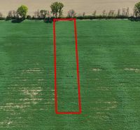 Trhovište – 5.894 m2 POZEMOK na mobilný dom so stavebným potenciálom  - Zeleň rekreačných pozemkov v Trhovišti, ohraničená červeným obdĺžnikom, siahajúca k lesnému porastu.