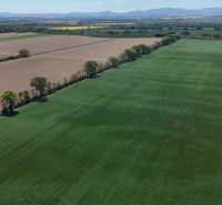 Trhovište – 5.894 m2 POZEMOK na mobilný dom so stavebným potenciálom  - Letecký pohľad na poľnohospodárske polia a stromy medzi rekreačnými pozemkami Trhovišťa.