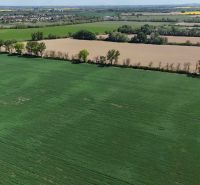 Trhovište – 5.894 m2 POZEMOK na mobilný dom so stavebným potenciálom  - Zeleň na rekreačných pozemkoch v Trhovišti s prírodnou scenériou na pozadí.