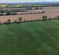 Trhovište – 5.894 m2 POZEMOK na mobilný dom so stavebným potenciálom  - Rozľahlé polia obklopené stromami v Trhovišti, Rekreačné pozemky zasadené do prírody.