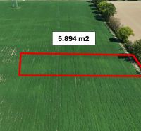 Trhovište – 5.894 m2 POZEMOK na mobilný dom so stavebným potenciálom  - Pozemok o veľkosti 5 894 m² v Rekreačných pozemkoch v Trhovišti.