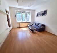 NA PRENÁJOM 1 IZBOVÝ TEHLOVÝ BYT, 34 M2, KOŠICE - ŠACA - Obývacia izba v 1-izbovom byte s podlahou s dreveným dekorom, pohovkou a stolíkom.