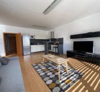 Prenájom 2 izbový 78 m2 + 30 m2 terasa,novostavba Koliba,zariadený - Obývacia izba s kuchynským kútom v 2-izbovom byte, podlaha s dreveným dekorom, svetlý interiér.