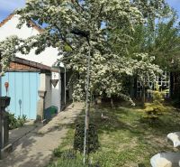 Štýlový 3-izbový rodinný dom po rekonštrukcii v obci Majcichov - Záhrada rodinného domu v Majcichove na ulici Majcichov s rozkvitnutým stromom a záhradným vybavením.