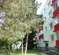 2-izbový byt, 51 m², samostatné izby, tichý, výhľad do zelene,K.Adlera - Bytový dom na ulici Karola Adlera, Bratislava - Dúbravka, obklopený vysokými stromami.
