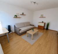 2-izbový byt, 51 m², samostatné izby, tichý, výhľad do zelene,K.Adlera - Obývačka s podlahou s dreveným dekorom, stolíkom a pohovkou v 2-izbovom byte.