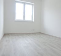 Novostavba pri jazere - 4 izbový rodinný dom v štandarde v obci Selice - Izba s bielymi stenami, podlahou s dreveným dekorom a oknom v rodinnom dome.