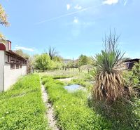 Viacgeneračný RD - priestranný pozemok - vyhľadávaná lokalita - Záhrada rodinného domu na Puškinovej ulici v Partizánskom s trávnikom a kríkmi.