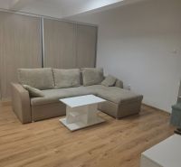 Moderný prenájom na ulici Bakossova za 550 € mesačne - 1-izbový byt s rohovou sedačkou, stolíkom a podlahou s dreveným dekorom.