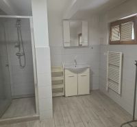 Moderný prenájom na ulici Bakossova za 550 € mesačne - Kúpeľňa so sprchovým kútom, umývadlom a podlahou s dreveným dekorom v 1-izbovom byte.