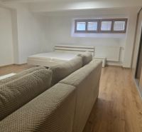 Moderný prenájom na ulici Bakossova za 550 € mesačne - Interiér 1-izbového bytu s pohovkou, posteľou a podlahou s dreveným dekorom.