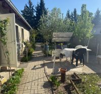 NA PREDAJ celoročná chata – Sekule (Šutrovňa), tiché prostredie - Záhrada pri chate na ulici Sekule v Sekulách s posedením a kvetinovým záhonom.