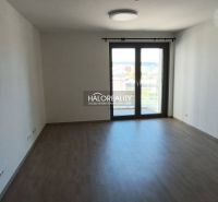 Predaj, jednoizbový byt Bratislava Staré Mesto, Bott... - Svetlá izba v 1-izbovom byte s podlahou s dreveným dekorom a veľkým oknom.