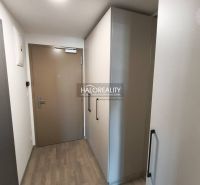 Predaj, jednoizbový byt Bratislava Staré Mesto, Bott... - Izba s podlahou s dreveným dekorom a balkónovými dverami v 1-izbovom byte.