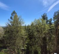 Investičný apartmán Vysoké Tatry - Stará Lesná s balkónom a park.miest - Lesný porast s výhľadom na vrcholky stromov a modrú oblohu v Starej Lesnej.