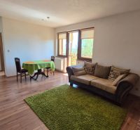 Investičný apartmán Vysoké Tatry - Stará Lesná s balkónom a park.miest - Obývacia izba s pohovkou, jedálenským stolom, policou a podlahou s dreveným dekorom v Rekreačnom apartmáne.