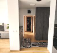 Prenájom 2 izb. byt NOVOSTAVBA, Ivanská cesta, Bratislava II. Ružinov - Interiér 2-izbového bytu s podlahou s dreveným dekorom, televíziou a úložným priestorom.