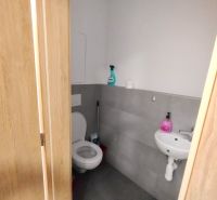 Prenájom 2 izb. byt NOVOSTAVBA, Ivanská cesta, Bratislava II. Ružinov - Toaleta s umývadlom v 2-izbovom byte, svetlé steny a dvere s dreveným dekorom.