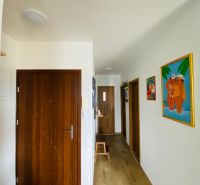 Brač(HR)–Apartmán s výhľadom na more - Chodba rekreačného apartmánu s podlahou s dreveným dekorom a farebnými obrazmi na stenách.