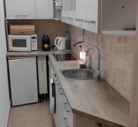 1-izb. byt, Krížná ul., Staré Mesto s veľkou lodžiou - Úzka kuchyňa v 1-izbovom byte s linkou, spotrebičmi a úložnými skrinkami.