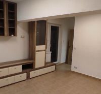 1-izb. byt, Krížná ul., Staré Mesto s veľkou lodžiou - Obývacia izba 1-izbového bytu s nábytkom a podlahou s dreveným dekorom.