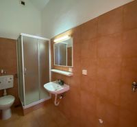 Brač(HR)–Zariadený apartmán 56m2 s výhľadom na more - Kúpeľňa v rekreačnom apartmáne s umývadlom a sprchovacím kútom.