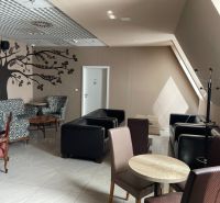 ODSTÚPENIE ZABEHNUTEJ KAVIARNE V CENTRE TRNAVY – TROJIČNÉ NÁMESTIE - Gastro priestory so stromovou dekoráciou na stene, kreslami a stoličkami, podlaha s dreveným dekorom.