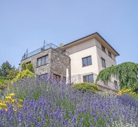 Luxusná vila na Bôriku – Údolná ulica, Staré Mesto BA I - Rodinný dom na Údolnej ulici, Bratislava - Staré Mesto, obklopený levanduľou a zeleňou.