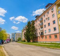 Na predaj 3 izbový tehlový byt v Košiciach pri Auparku, ulica Krivá - Ulica Krivá v Košiciach - mestská časť Juh, lemovaná panelovými domami.