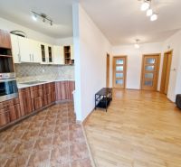 3 IZBOVÝ BYT NA PRENÁJOM PREŠOV, PUSTÁ DOLINA, ŠIDLOVEC - Kuchyňa v 3-izbovom byte so vstavanými spotrebičmi a podlahou s dreveným dekorom.