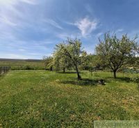 Vymením dom s veľkou záhradou v obci Mýtna za 2 i byt v Lučenci - Rozľahlá záhrada s ovocnými stromami pri rodinnom dome v Mýtnej.