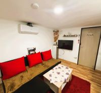 Celoročne obývateľná chata v Gabčíkove na 150 m² pozemku pri Dunaji - Obývacia izba v chate s podlahou s dreveným dekorom a červenými doplnkami.