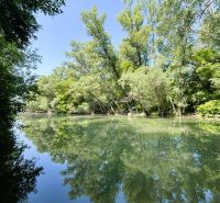 Celoročne obývateľná chata v Gabčíkove na 150 m² pozemku pri Dunaji - Rieka obklopená zeleňou v Gabčíkove, odraz stromov na hladine.