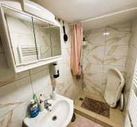Celoročne obývateľná chata v Gabčíkove na 150 m² pozemku pri Dunaji - Kúpeľňa v chate s bielym umývadlom, zrkadlovou skrinkou a sprchovacím kútom.