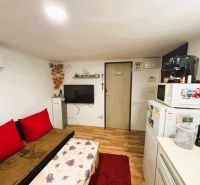 Celoročne obývateľná chata v Gabčíkove na 150 m² pozemku pri Dunaji - Obývacia miestnosť v chate s podlahou s dreveným dekorom a červenými prvkami.