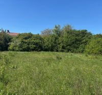 LUKRATÍVNY SP V BUDMERICIACH NA VÝSTAVBU RD ALEBO  BYT.DOMOV - 4459 m2 - Pozemok - bývanie na predaj na J. Rašu v Budmericiach, obklopený zeleňou.