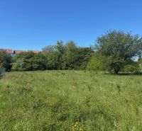 LUKRATÍVNY SP V BUDMERICIACH NA VÝSTAVBU RD ALEBO  BYT.DOMOV - 4459 m2 - Pozemky na bývanie na ulici J.Rašu, Budmerice, s trávnatou plochou a stromami.