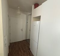 PRENÁJOM 1 IZB.BYTU NA MUŠKÁTE S PARKOVACÍM STÁTIM - Interiérová chodba s podlahou s dreveným dekorom v 1-izbovom byte, biele dvere a šatníková skriňa.