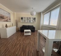 PRENÁJOM 1 IZB.BYTU NA MUŠKÁTE S PARKOVACÍM STÁTIM - 1-izbový byt s pohovkou, stolom a podlahou s dreveným dekorom.