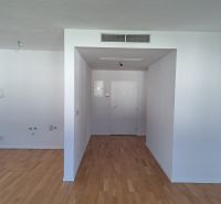 PREDAJ NADŠTANDARDNÉHO 4 IZB.BYTU V NOVOM KOMPLEXE-VINICE-150,18 m2 - Chodba s drevenou podlahou v 4-izbovom byte na ulici Obchodná, Bratislava.