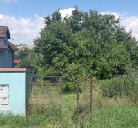 PREDAJ INVESTIČNÉHO POZEMKU V ŠENKVICIACH NA VÝSTAVBU RD - 2197 m2 - Pozemky - bývanie na Ružovej ulici v Šenkviciach, zahŕňajú bránu a zeleň.