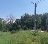 PREDAJ INVESTIČNÉHO POZEMKU V ŠENKVICIACH NA VÝSTAVBU RD - 2197 m2 - Pozemok na bývanie na Ružovej ulici v Šenkviciach s hustou vegetáciou a elektrickým stĺpom.