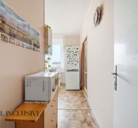 Na predaj 2-izb. byt s pivnicou, Kolárovo - Úzka predsieň so spotrebičmi a dekoráciou v 2-izbovom byte, s podlahou s dreveným dekorom.