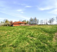 Na predaj 1046 m² stavebný pozemok, Malé Dvorníky - Zelený trávnatý pozemok vhodný na bývanie v obci Malé Dvorníky, obklopený stromami.