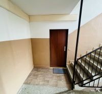 Predaj 3-izbového bytu, Michalská, Michalská, Hlohovec - Vstupné dvere do 3-izbového bytu, schodisko a steny s pastelovými odtieňmi.