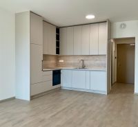I Predaj Výnimočný  1-izb apartmán v projekte Metropolis - Moderná kuchyňa v 1-izbovom byte, svetlé skrinky, podlaha s dreveným dekorom, neutrálny štýl.