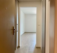 I Predaj Výnimočný  1-izb apartmán v projekte Metropolis - Vstupná chodba 1-izbového bytu s podlahou s dreveným dekorom.