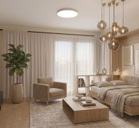 I Predaj Výnimočný  1-izb apartmán v projekte Metropolis - 1-izbový byt s pohovkou, posteľou, podlahou s dreveným dekorom a izbovou rastlinou.
