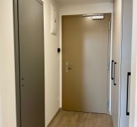 I Predaj Výnimočný  1-izb apartmán v projekte Metropolis - Vstupná chodba v 1-izbovom byte s podlahou s dreveným dekorom a bielymi stenami.